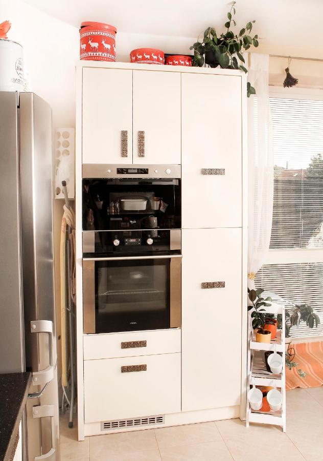 2-Izbovy Apartman Mlynica S Balkonom Εξωτερικό φωτογραφία